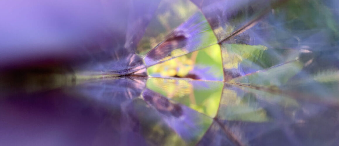abstract purple flower