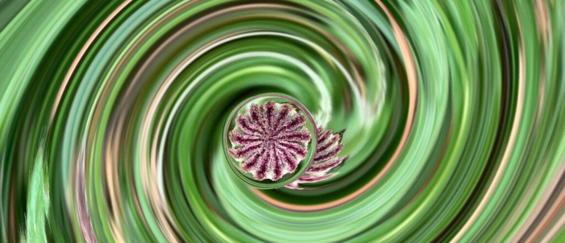 Dance in the Eye spiral