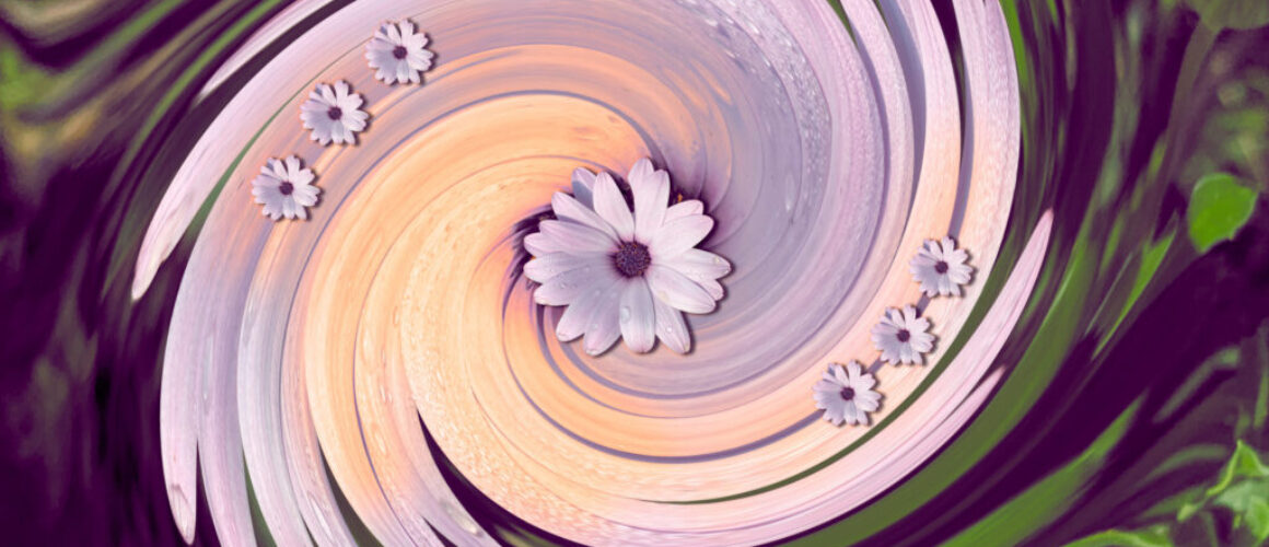 Cat Seven Storm spiral