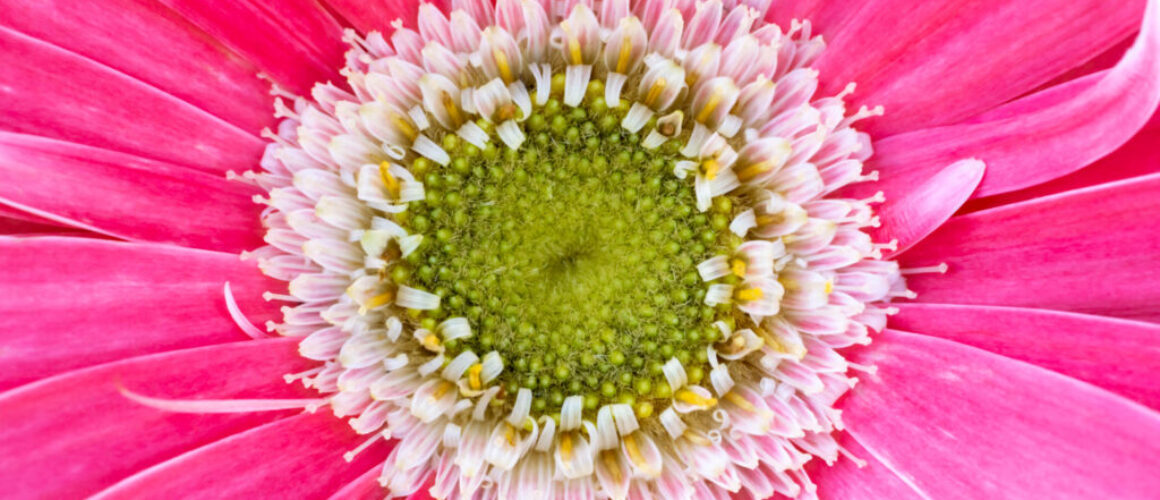 alanzuckerphoto-20210511_DSC2872-Edit-2