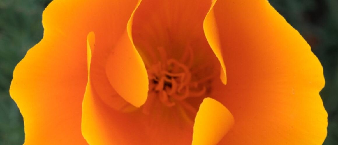 alanzuckerphoto-P1180121