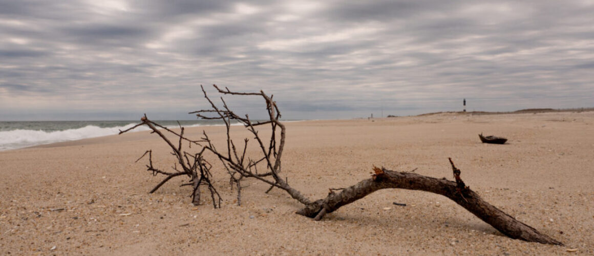 alanzuckerphoto-P1200679