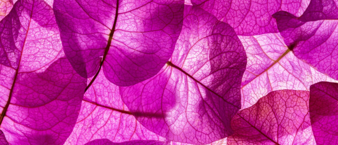 alanzuckerphoto-lowres-P1450845