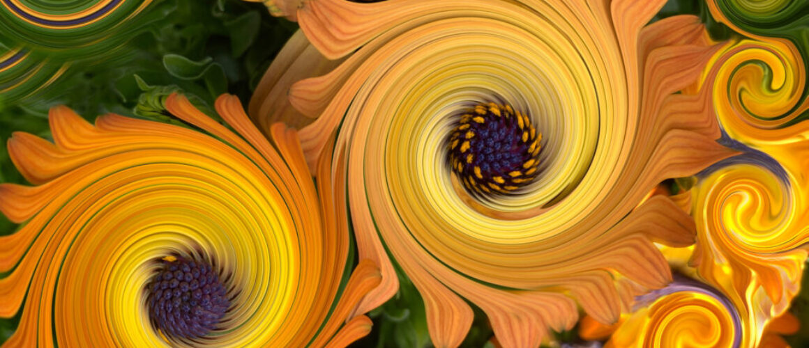 alanzuckerphoto-img_3081-procreate