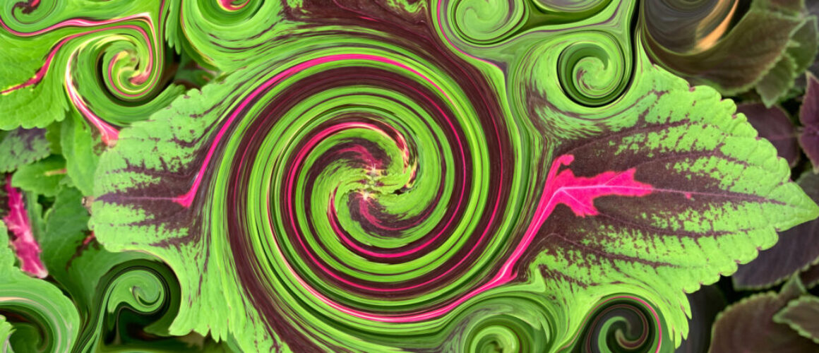 alanzuckerphoto-img_3103-procreate