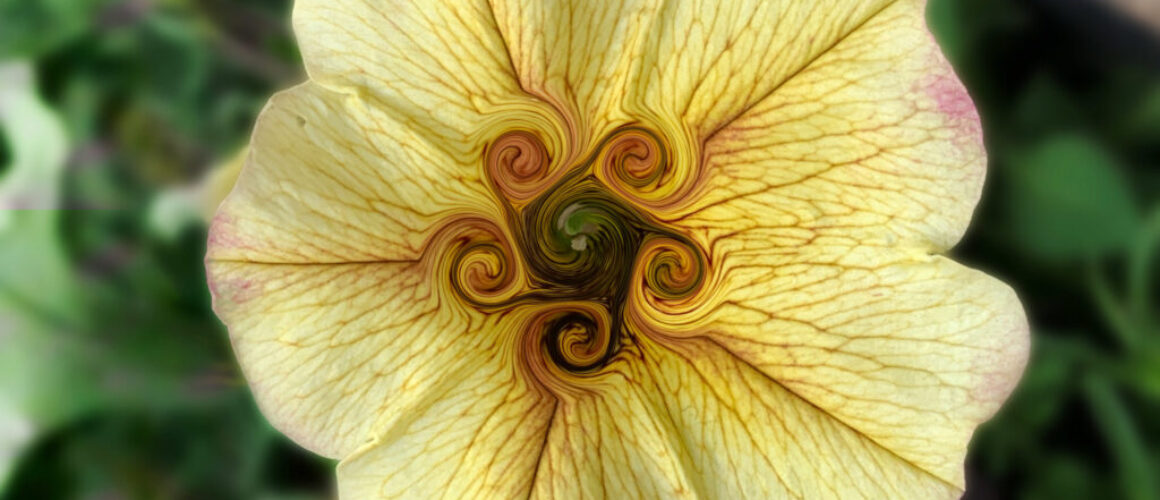 alanzuckerphoto-img_3109-procreate