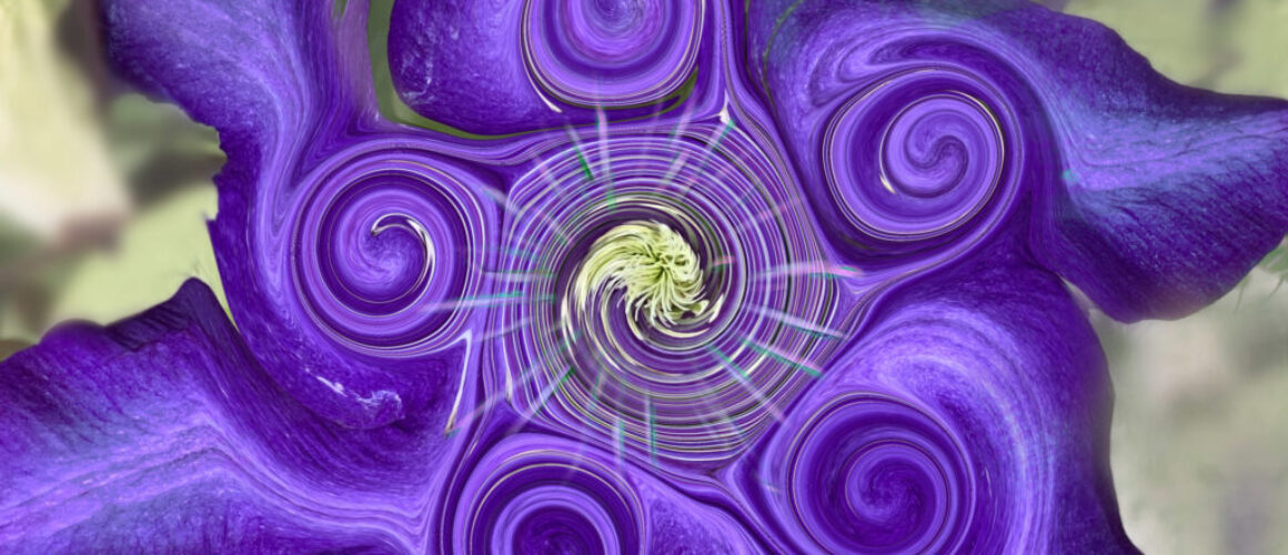 alanzuckerphoto-img_3113-procreate