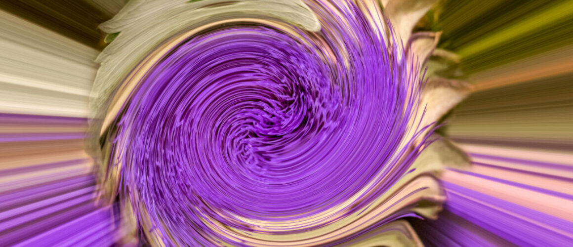 alanzuckerphoto-P1120574-Edit