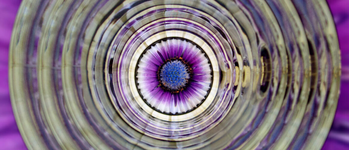 alanzuckerphoto-20221120PB200059