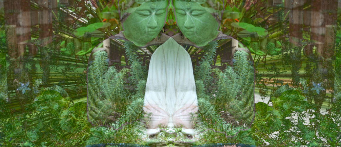 alanzuckerphoto-DSC_2968-Edit