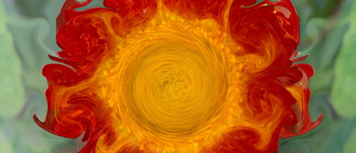 alanzuckerphoto-Untitled_Artwork 1