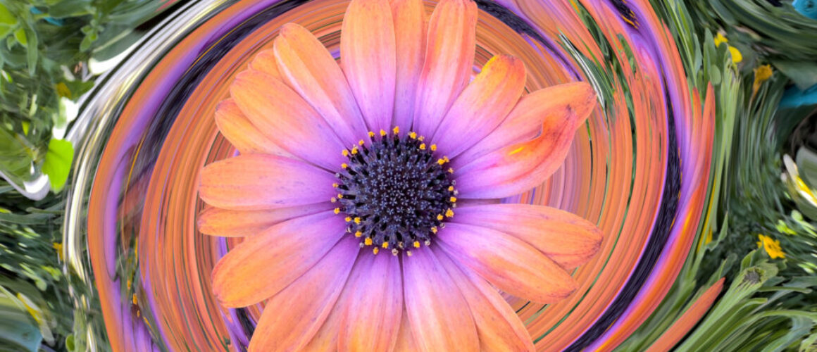 alanzuckerphoto-20230218IMG_0112-Edit-4