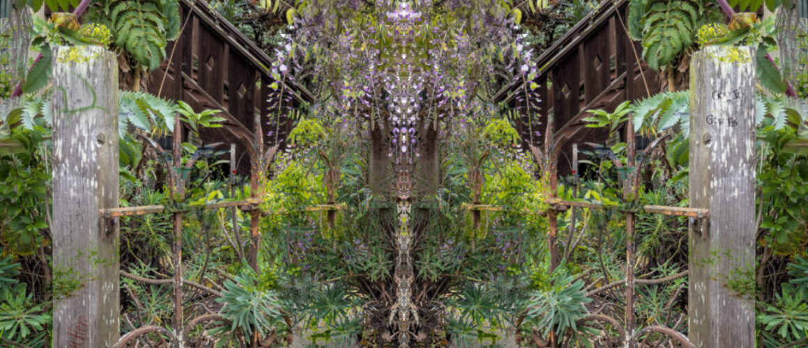 alanzuckerphoto-20230428IMG_0473-Edit