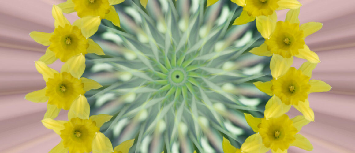 alanzuckerphoto-P1170388-Edit