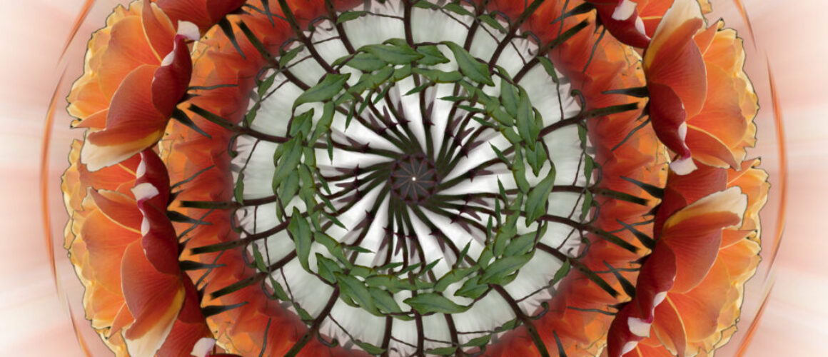 alanzuckerphoto-20230521_DSC4017-Edit