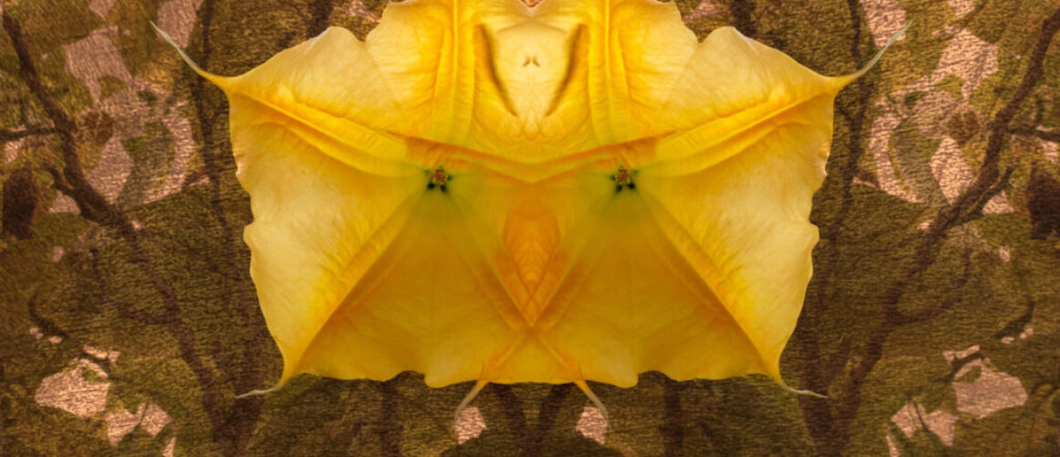 alanzuckerphoto-20210802_DSC5246-Edit-Flattened