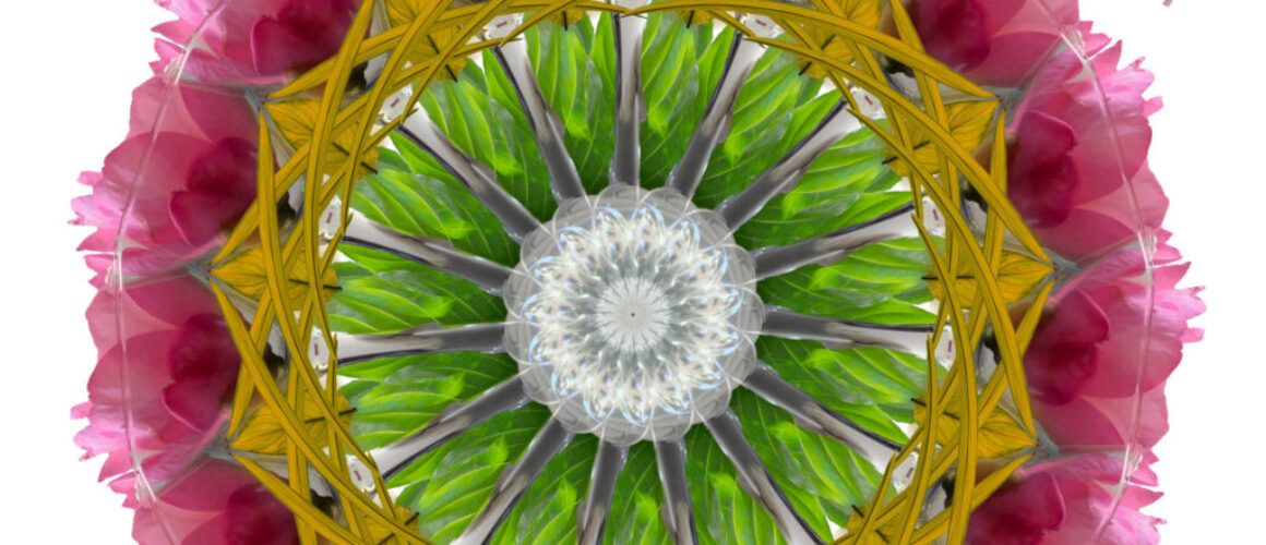 alanzuckerphoto-20230217IMG_0071-Edit