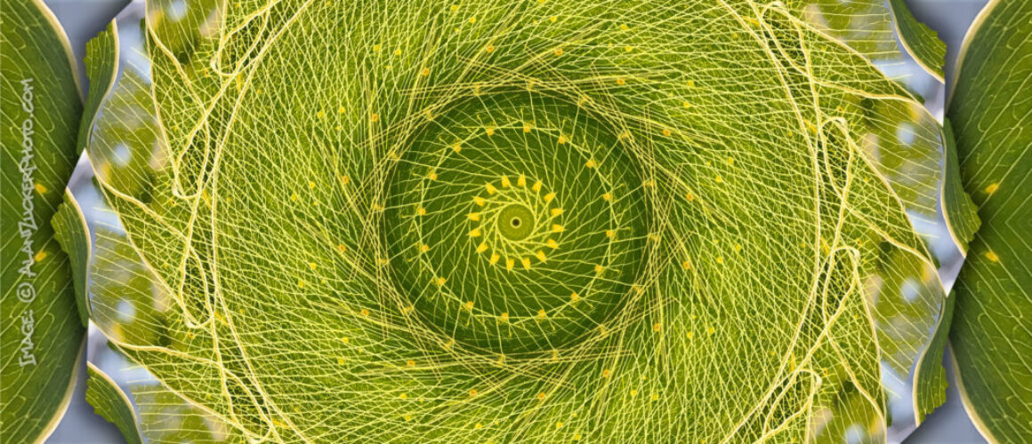 alanzucker-IMG_8615-Edit