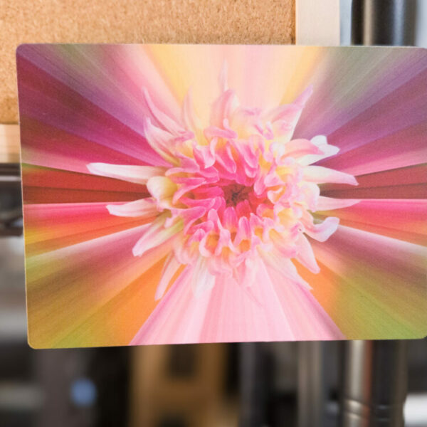 Photo Magnet