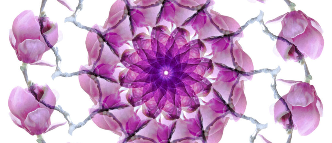 alanzuckerphoto-20220217_DSC9189-Edit