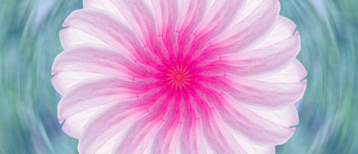 alanzucker-APC_0480-Edit