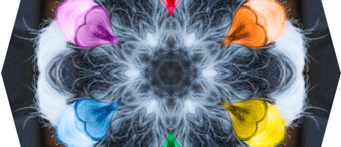 alanzucker-IMG_2760-Edit-2