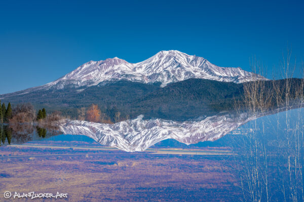 Mount Shasta