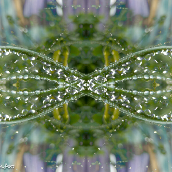 Infinity