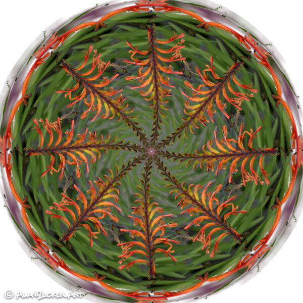 Dreamtime Flag #1