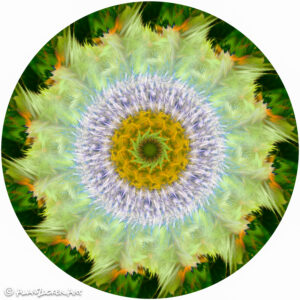 Passion Flower Mandala - 8x8 metal print with float mount