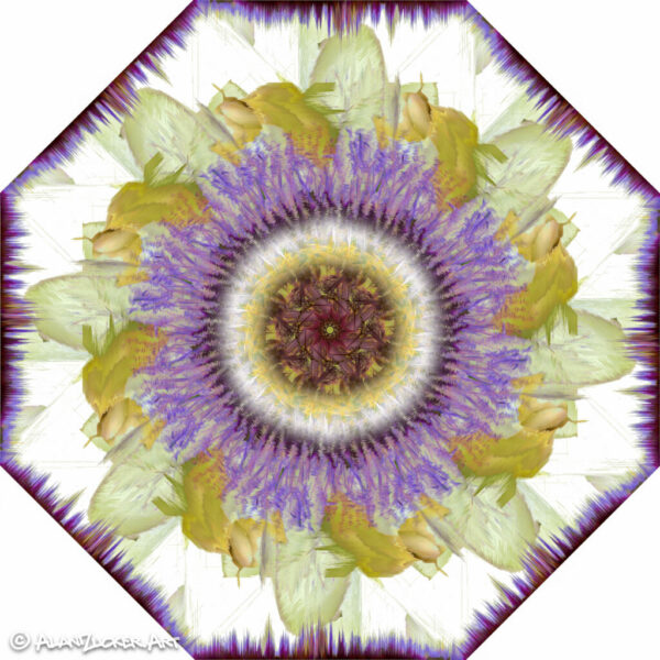 Passiflora Sacrifice