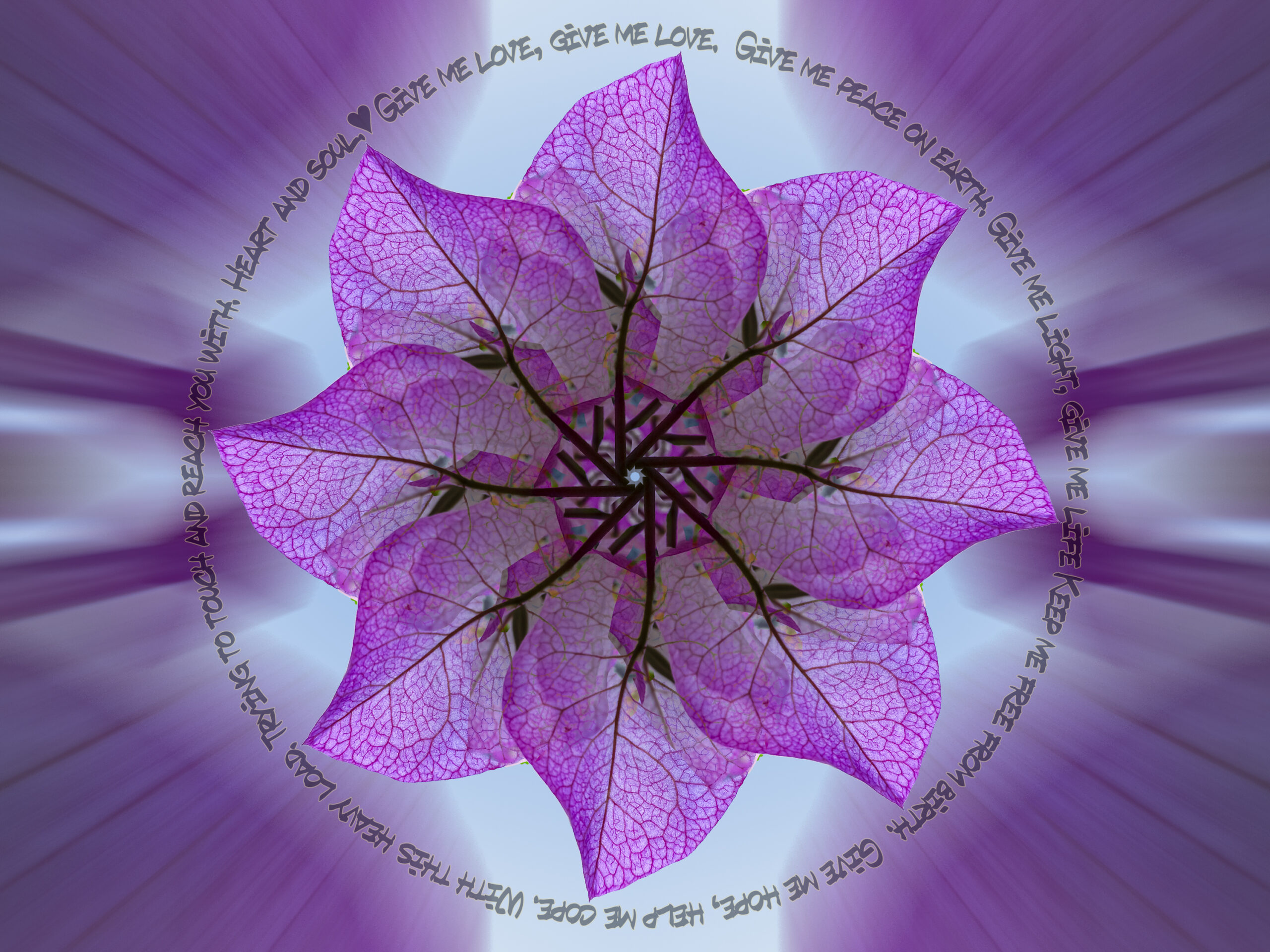 mandala of raindrops